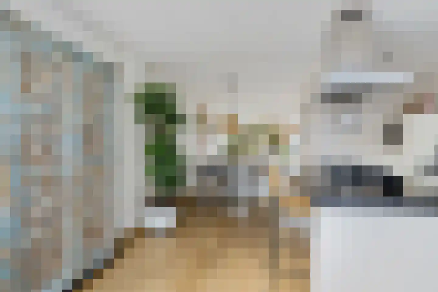 Zaagmolenstraat 6 Alkmaar thumbnail 19