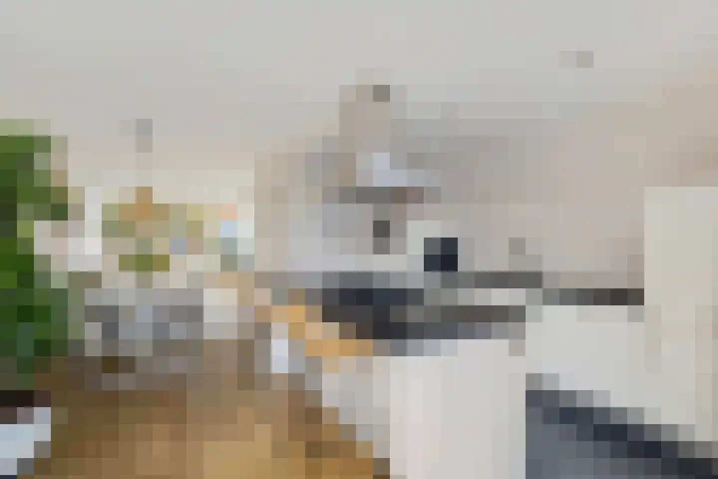 Zaagmolenstraat 6 Alkmaar thumbnail 20