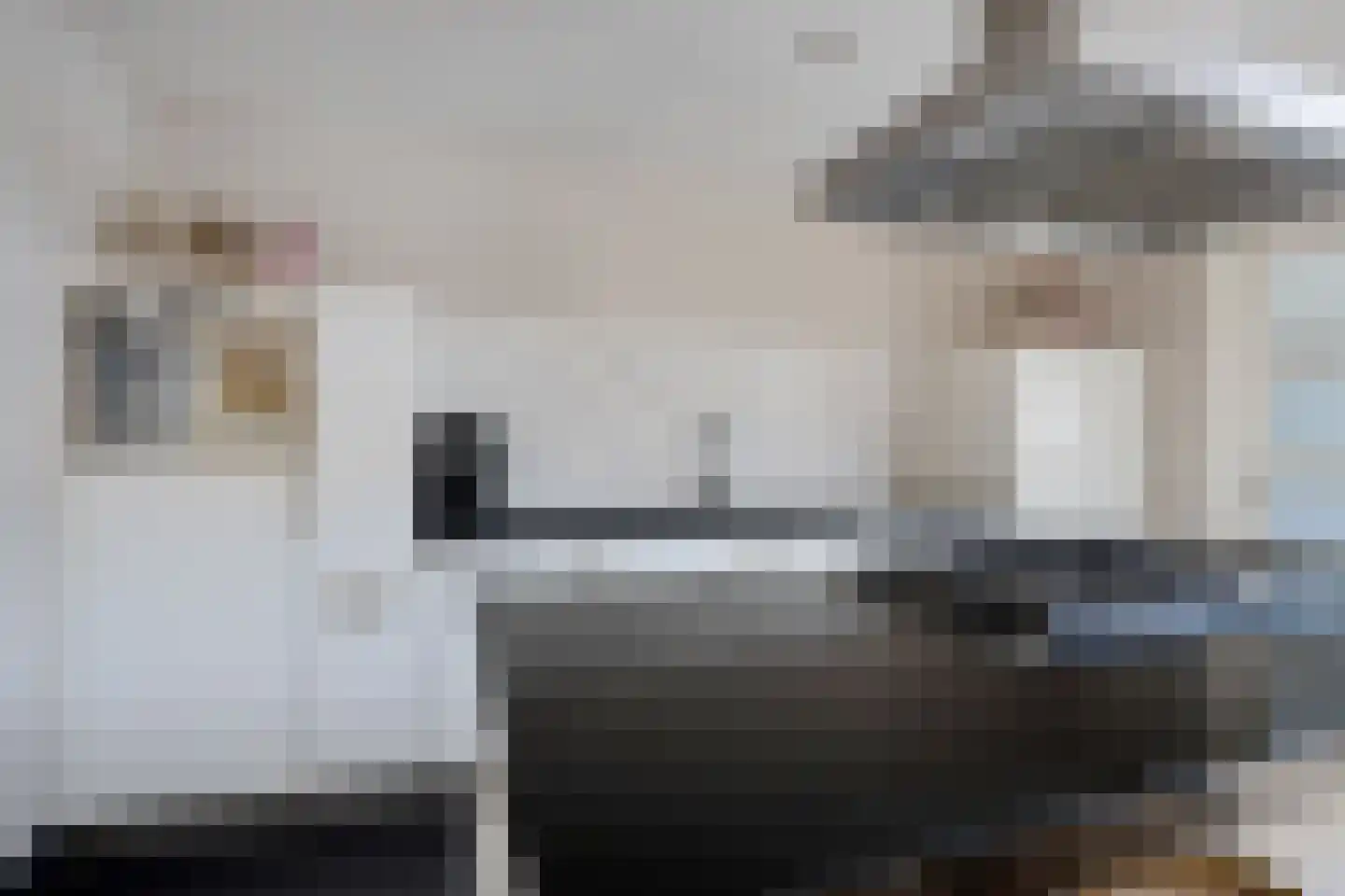 Zaagmolenstraat 6 Alkmaar thumbnail 21
