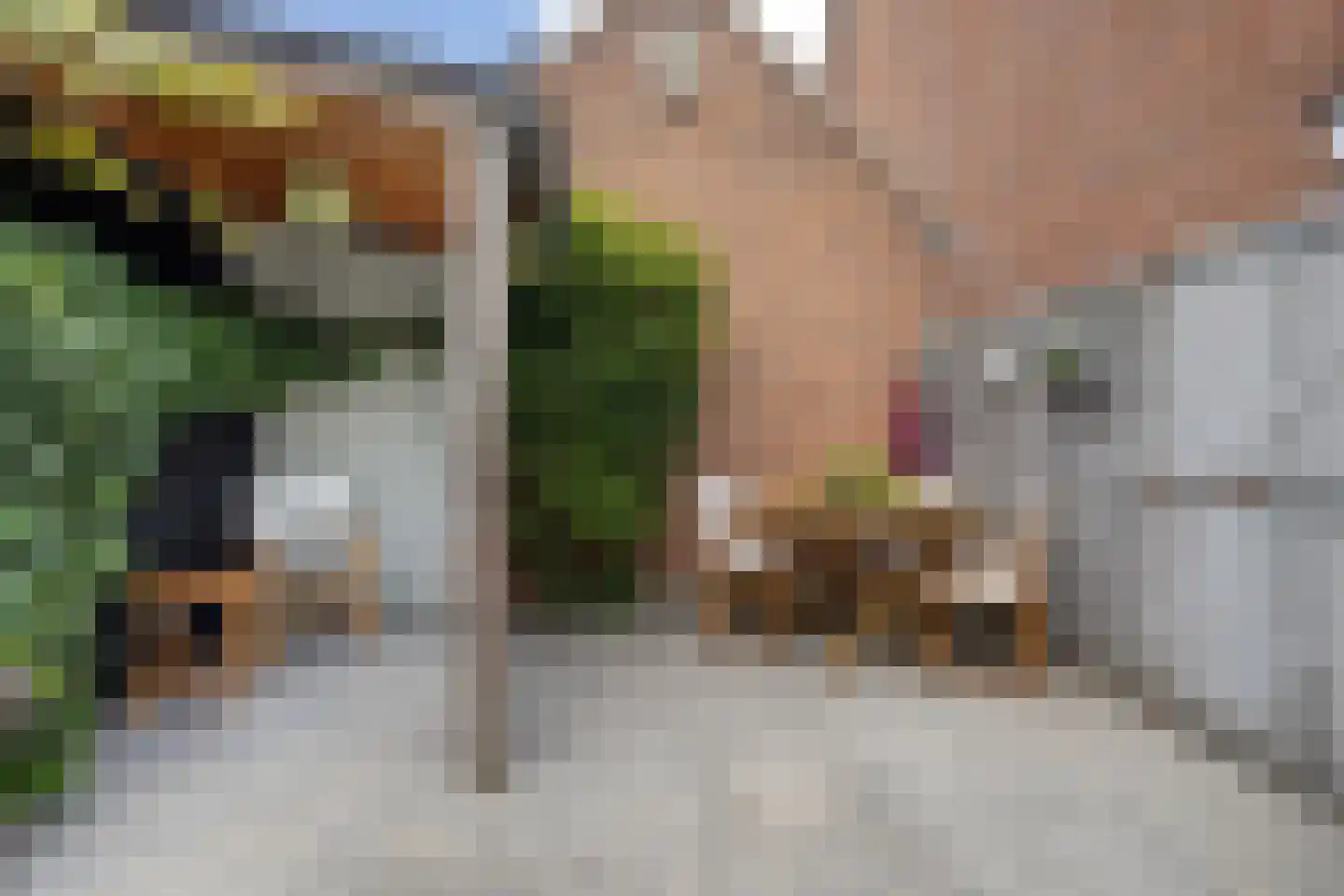 Zaagmolenstraat 6 Alkmaar thumbnail 39