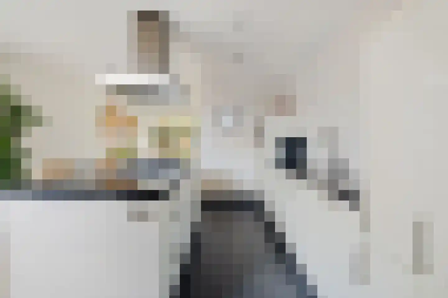 Zaagmolenstraat 6 Alkmaar thumbnail 4