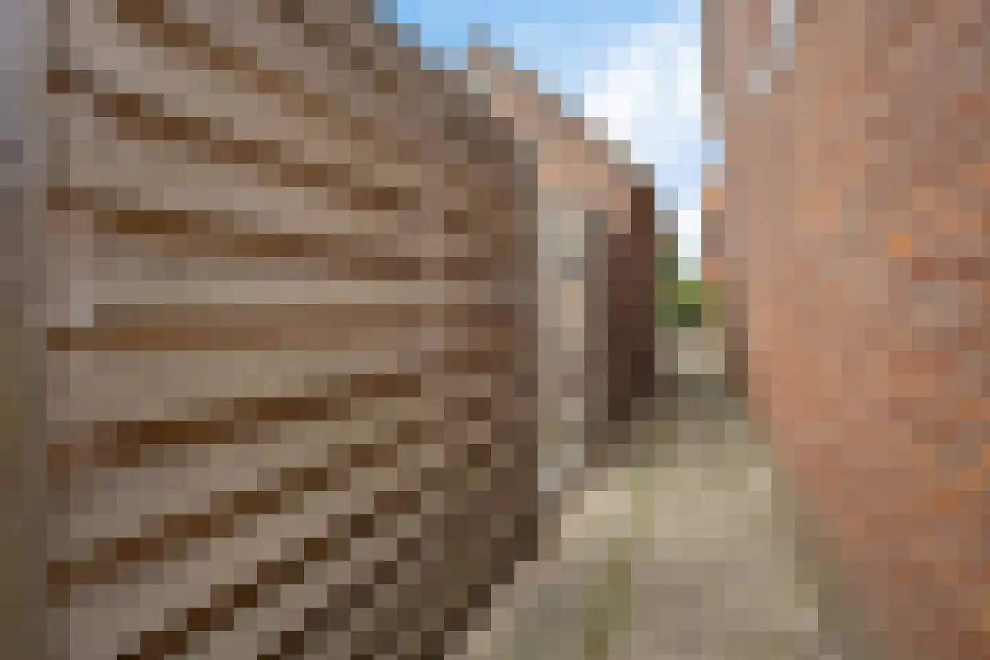 Zaagmolenstraat 6 Alkmaar thumbnail 40