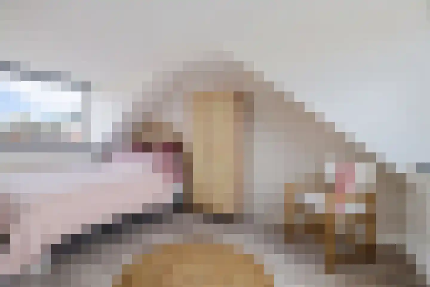 Zaagmolenstraat 6 Alkmaar thumbnail 5