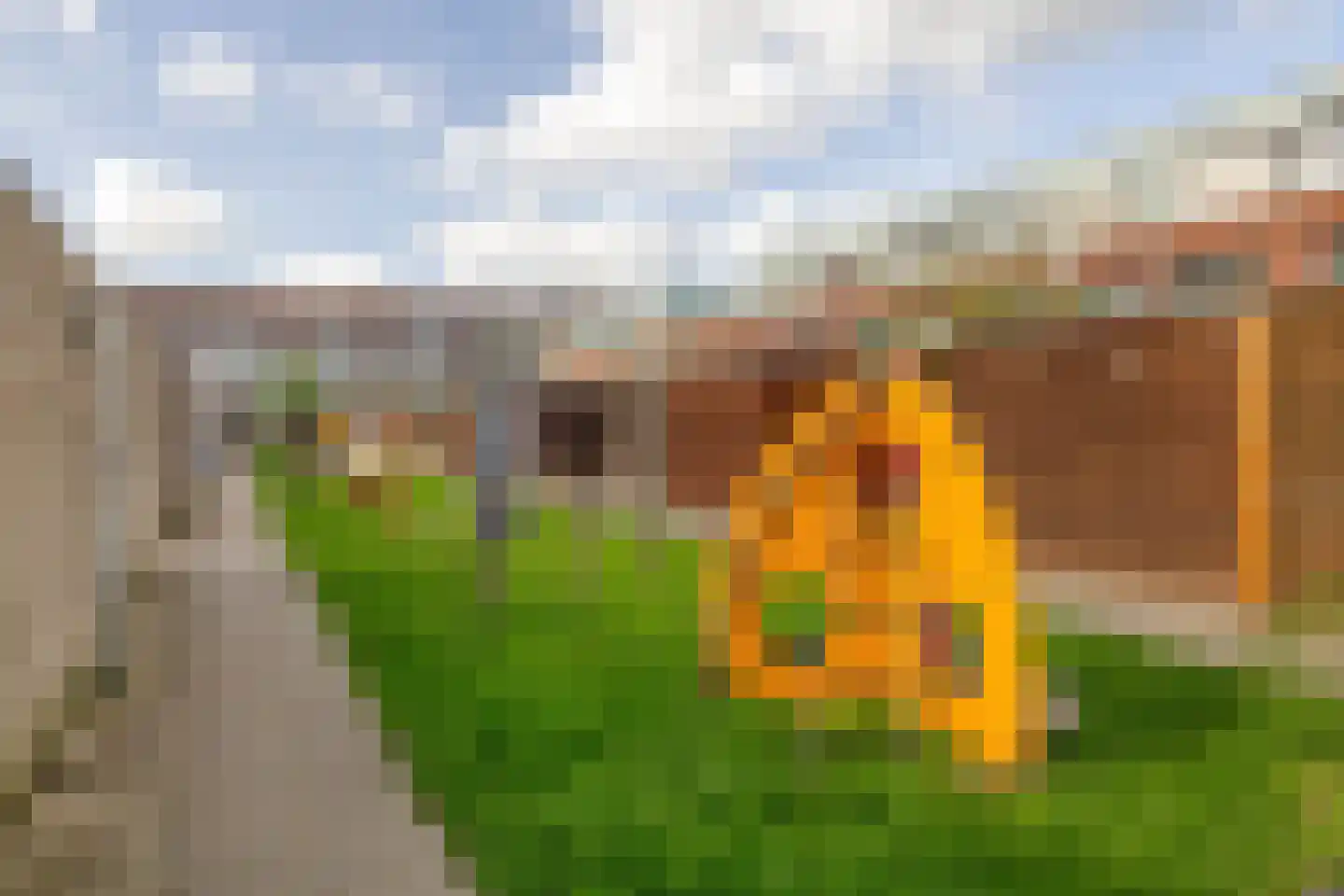 Zaagmolenstraat 63 B Rotterdam thumbnail 37