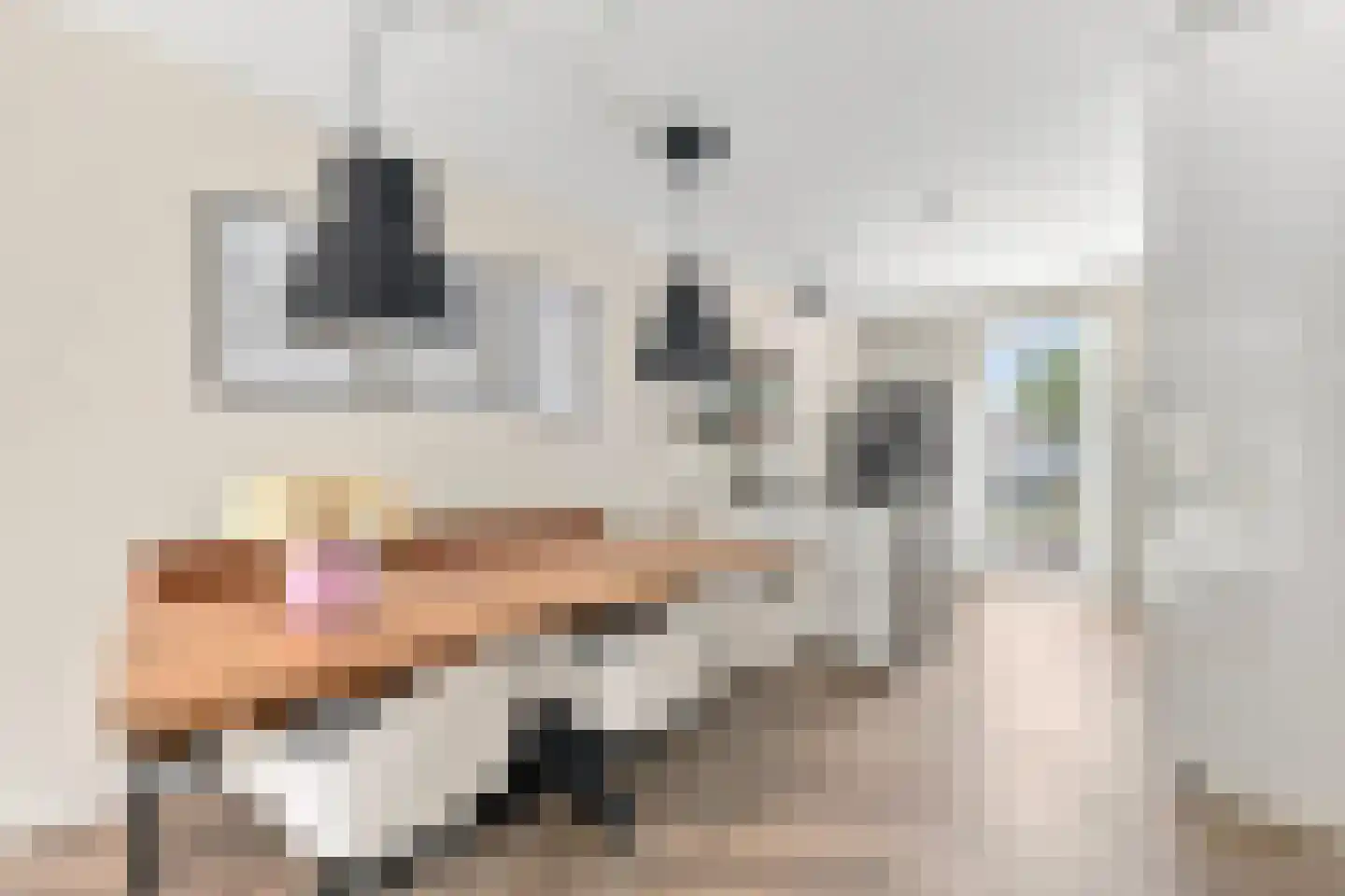 Zaagmolenstraat 63 Leidschendam thumbnail 18
