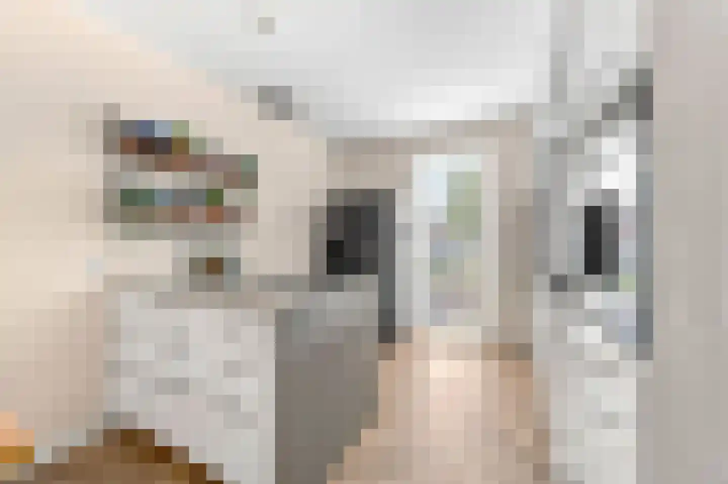 Zaagmolenstraat 63 Leidschendam thumbnail 19