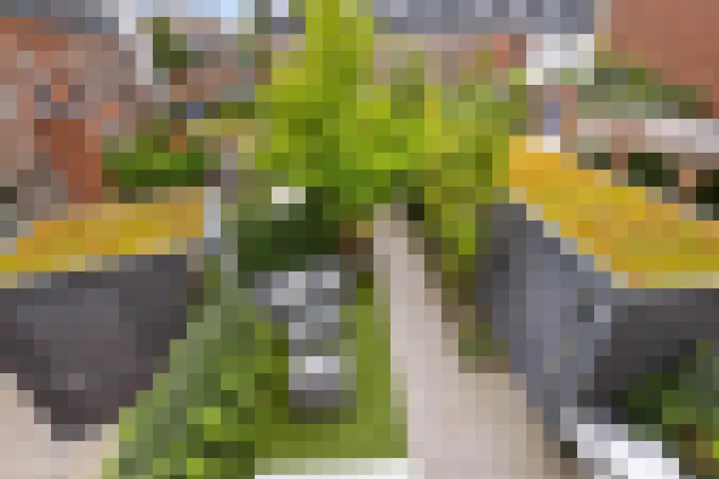 Zaagmolenstraat 63 Leidschendam thumbnail 33