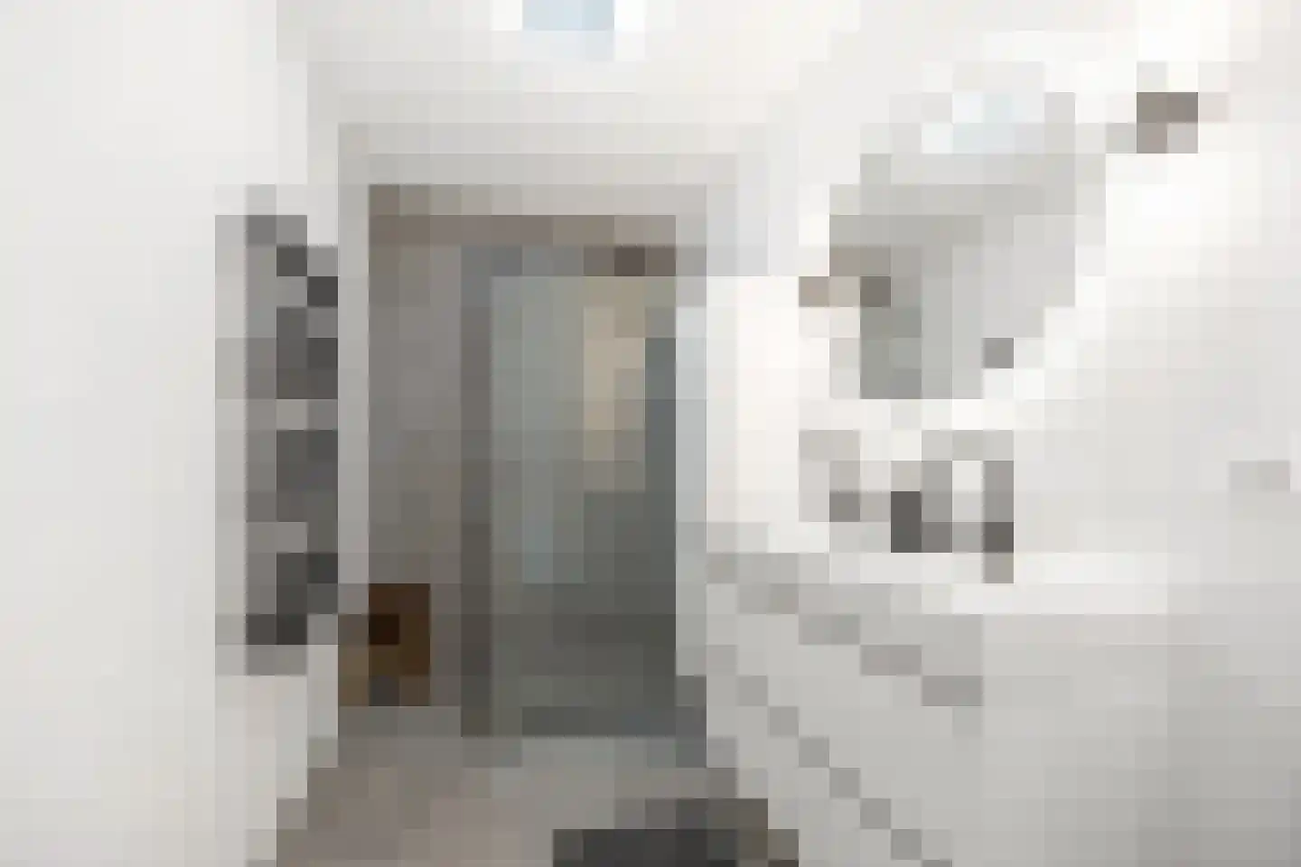 Zaagmolenstraat 63 Leidschendam thumbnail 34