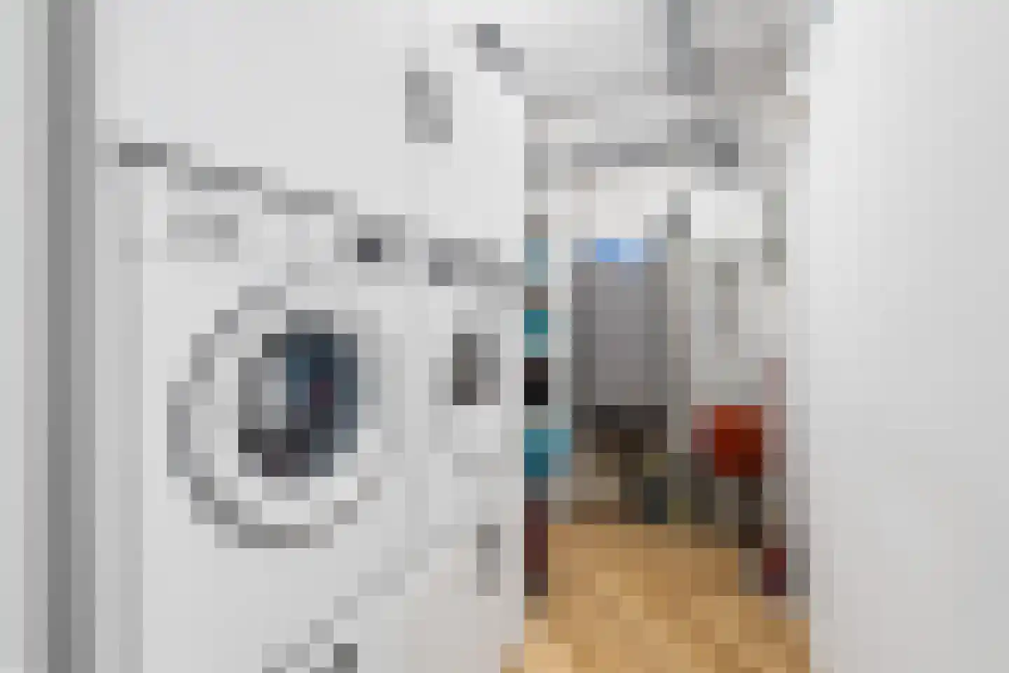 Zaagmolenstraat 63 Leidschendam thumbnail 36