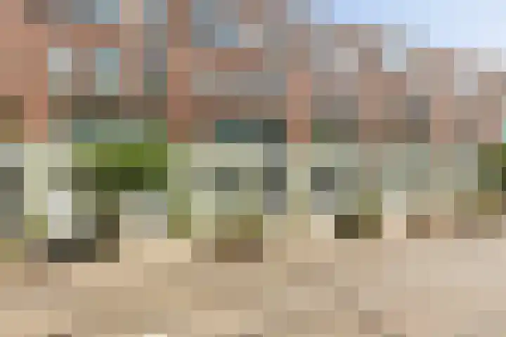 Zaagmolenstraat 75 B Rotterdam thumbnail 4