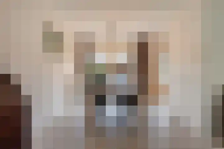 Zaagmolenweg 10 Beek en Donk thumbnail 11
