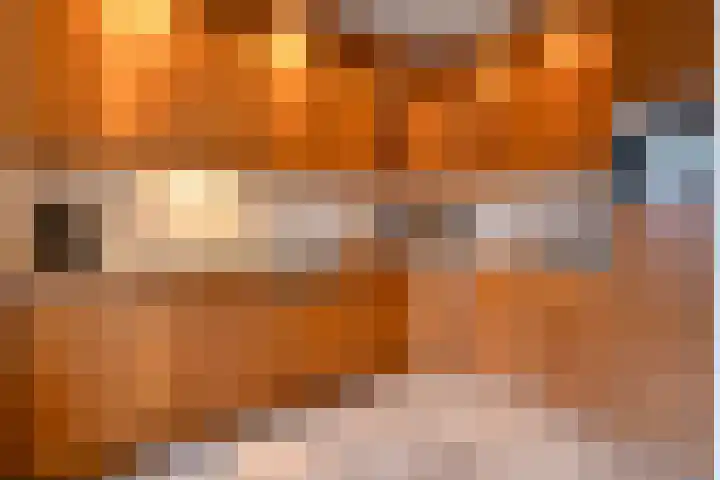 Zaagmolenweg 10 Beek en Donk thumbnail 13