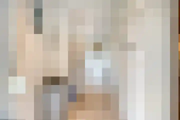 Zaagmolenweg 10 Beek en Donk thumbnail 16