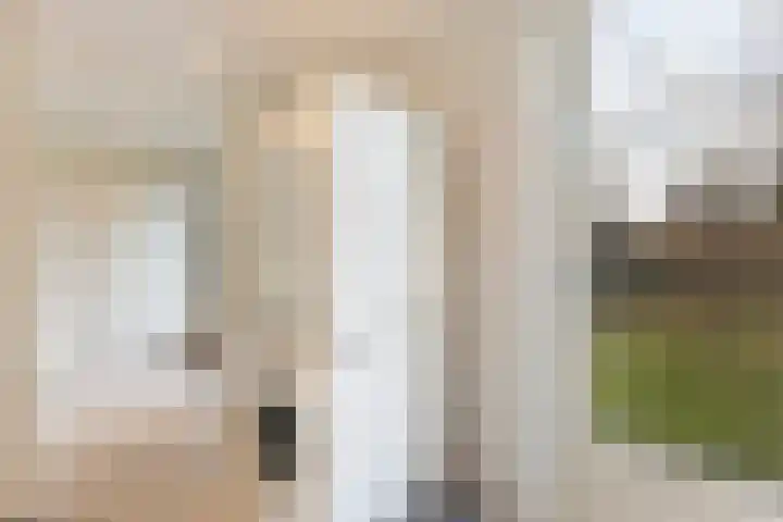 Zaagmolenweg 10 Beek en Donk thumbnail 17