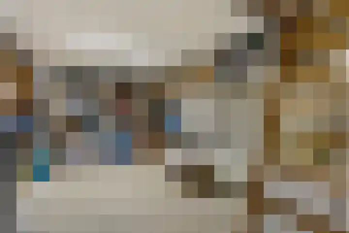 Zaagmolenweg 10 Beek en Donk thumbnail 18
