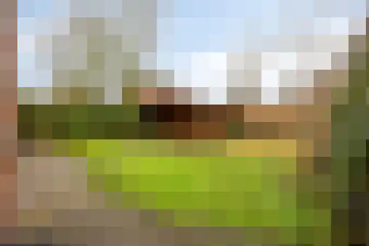 Zaagmolenweg 10 Beek en Donk foto 2
