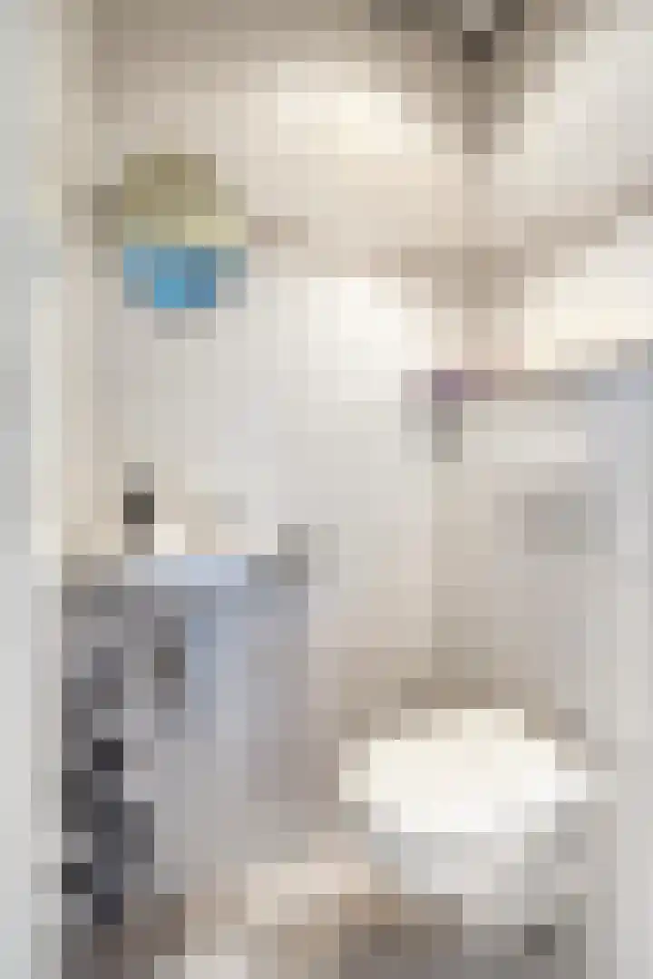 Zaagmolenweg 10 Beek en Donk thumbnail 20