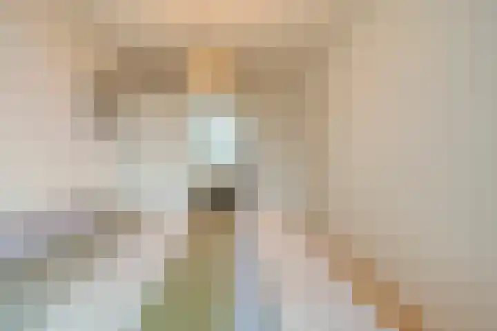 Zaagmolenweg 10 Beek en Donk thumbnail 22