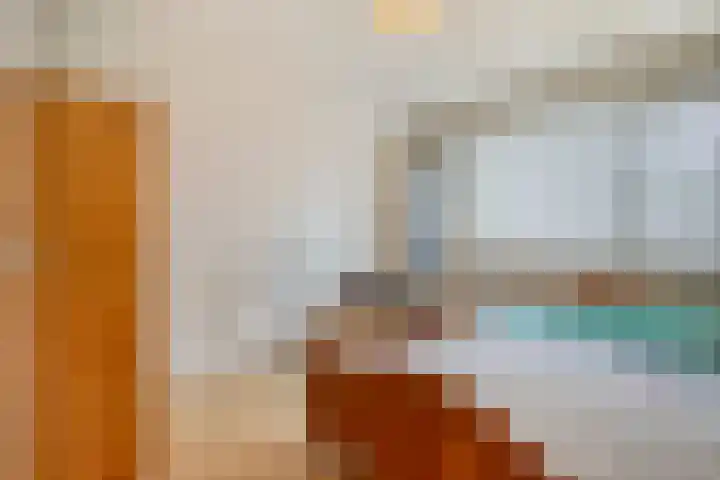 Zaagmolenweg 10 Beek en Donk thumbnail 23