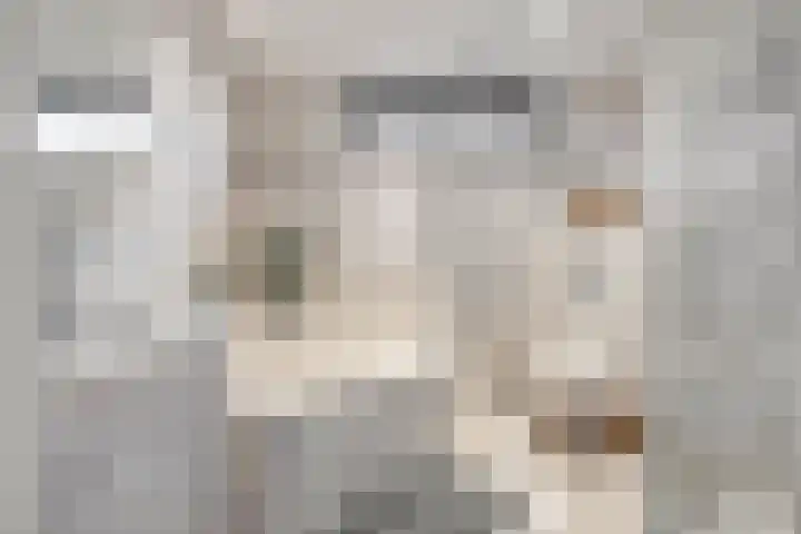 Zaagmolenweg 10 Beek en Donk thumbnail 25