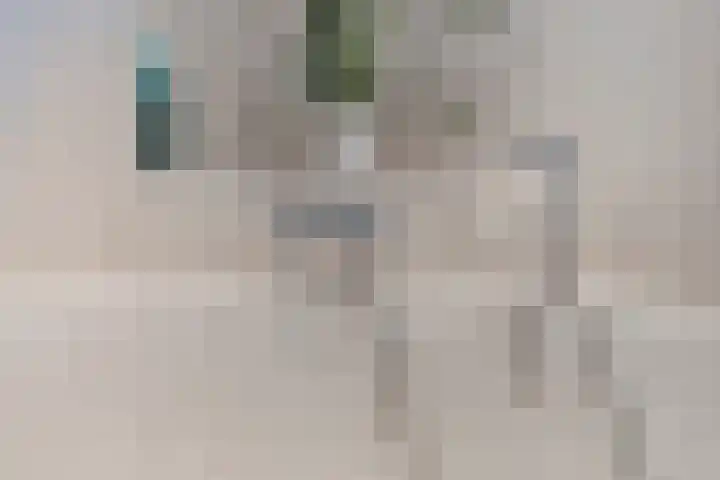 Zaagmolenweg 10 Beek en Donk thumbnail 28