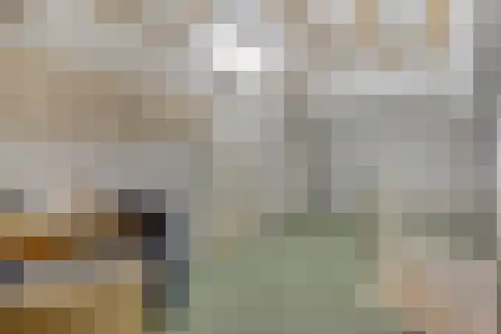 Zaagmolenweg 10 Beek en Donk thumbnail 30