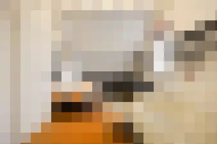 Zaagmolenweg 10 Beek en Donk thumbnail 32