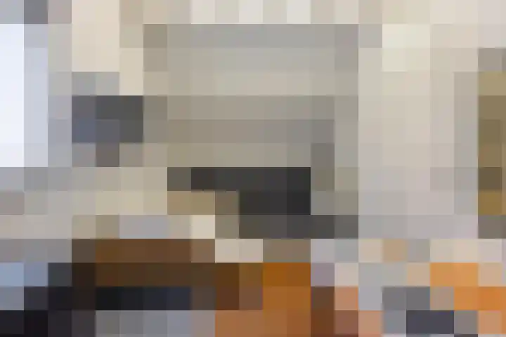 Zaagmolenweg 10 Beek en Donk thumbnail 33