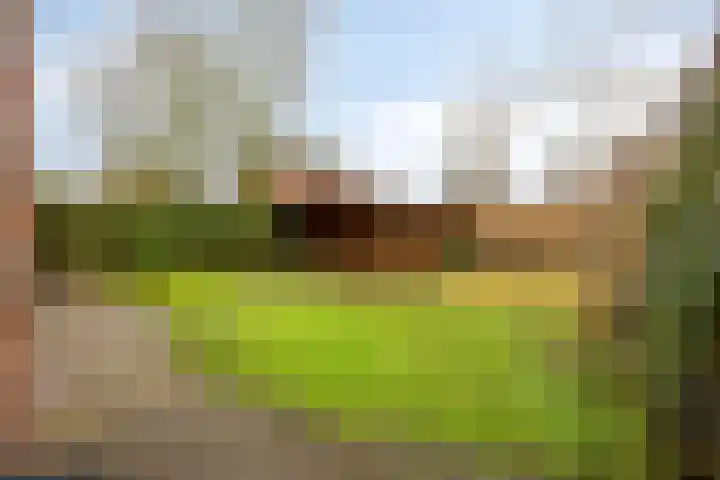 Zaagmolenweg 10 Beek en Donk thumbnail 34
