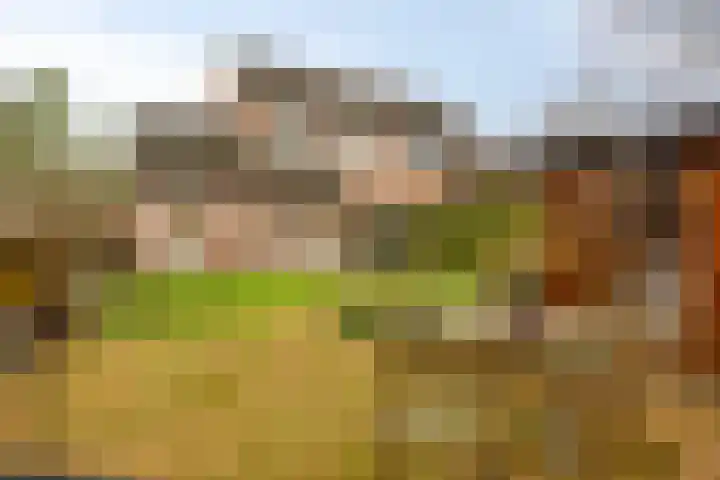Zaagmolenweg 10 Beek en Donk thumbnail 35