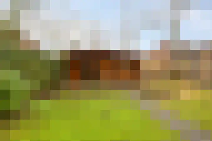 Zaagmolenweg 10 Beek en Donk thumbnail 36