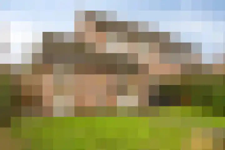 Zaagmolenweg 10 Beek en Donk thumbnail 37