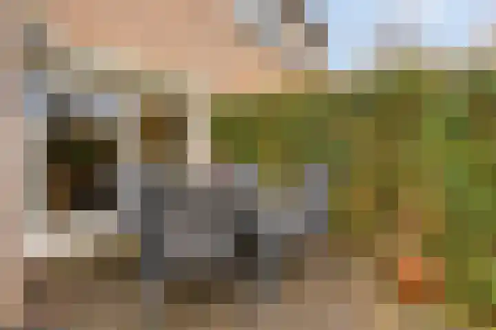 Zaagmolenweg 10 Beek en Donk thumbnail 38