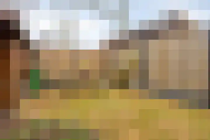 Zaagmolenweg 10 Beek en Donk thumbnail 39
