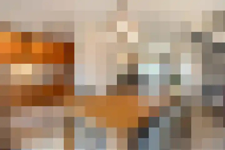 Zaagmolenweg 10 Beek en Donk thumbnail 4
