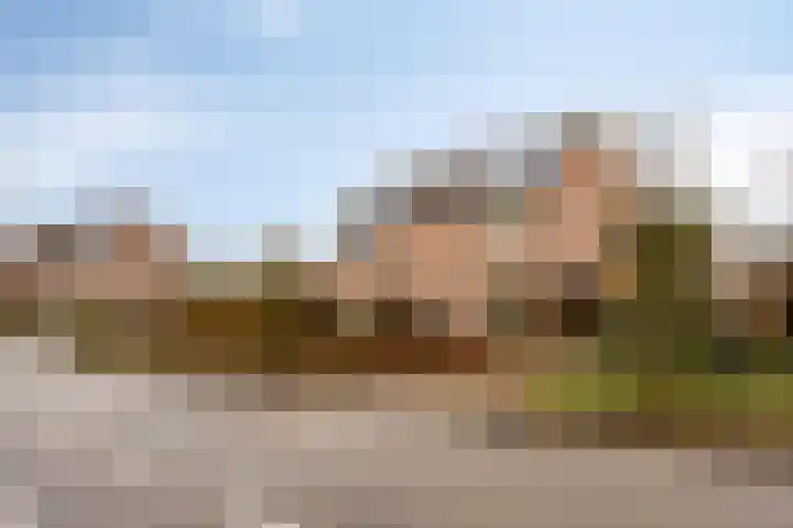 Zaagmolenweg 10 Beek en Donk thumbnail 5
