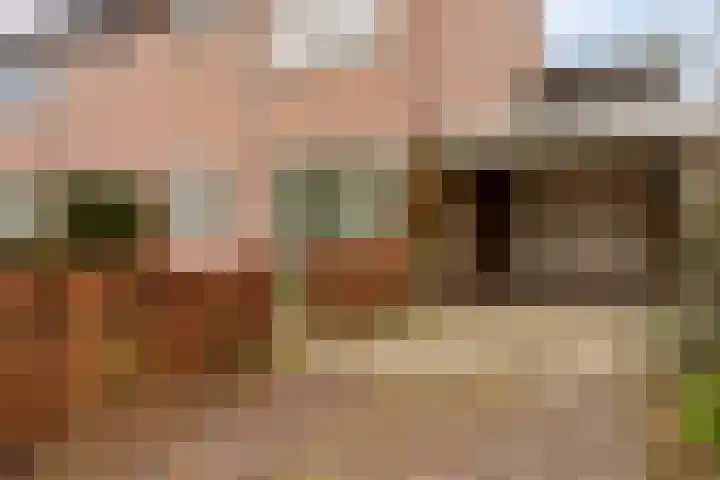 Zaagmolenweg 10 Beek en Donk thumbnail 6