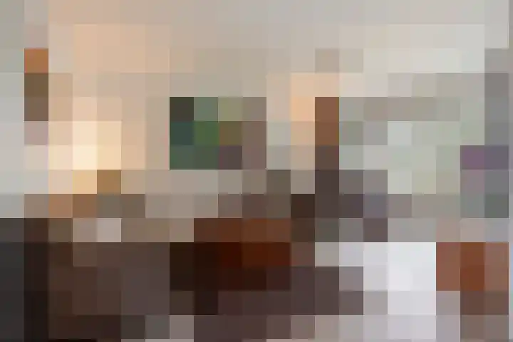 Zaagmolenweg 10 Beek en Donk thumbnail 7