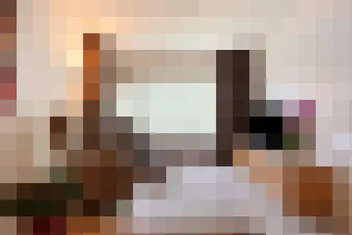 Zaagmolenweg 10 Beek en Donk thumbnail 8