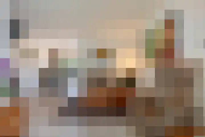 Zaagmolenweg 10 Beek en Donk thumbnail 9