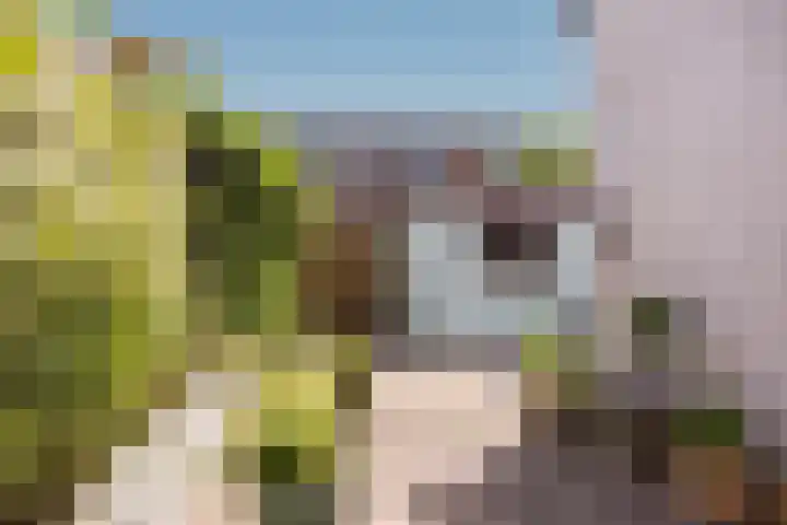 Zaagmolenweg 12 Zutphen thumbnail 16