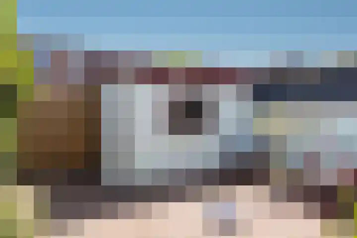 Zaagmolenweg 12 Zutphen thumbnail 17