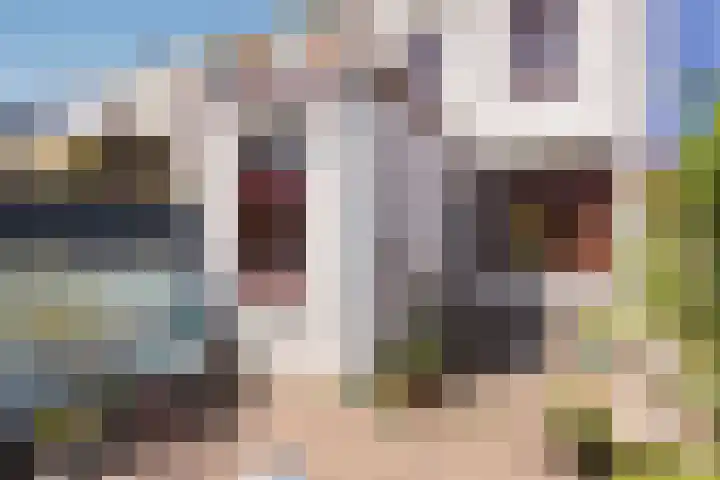Zaagmolenweg 12 Zutphen thumbnail 18