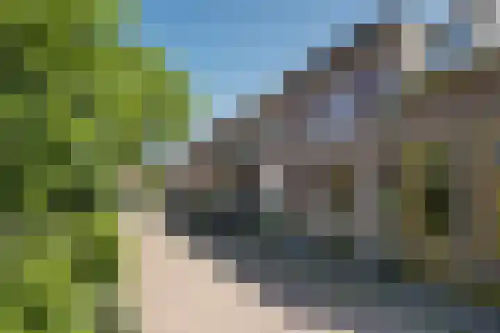 Zaagmolenweg 12 Zutphen thumbnail 19