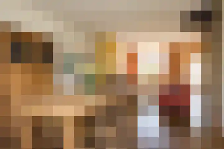 Zaagmolenweg 12 Zutphen thumbnail 5