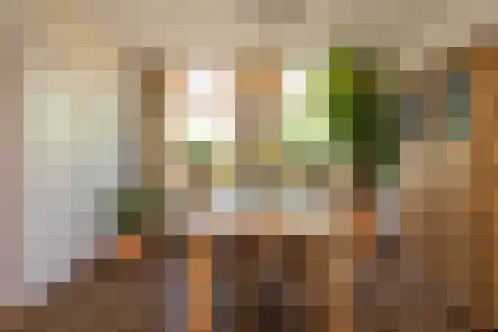 Zaagmolenweg 12 Zutphen thumbnail 6
