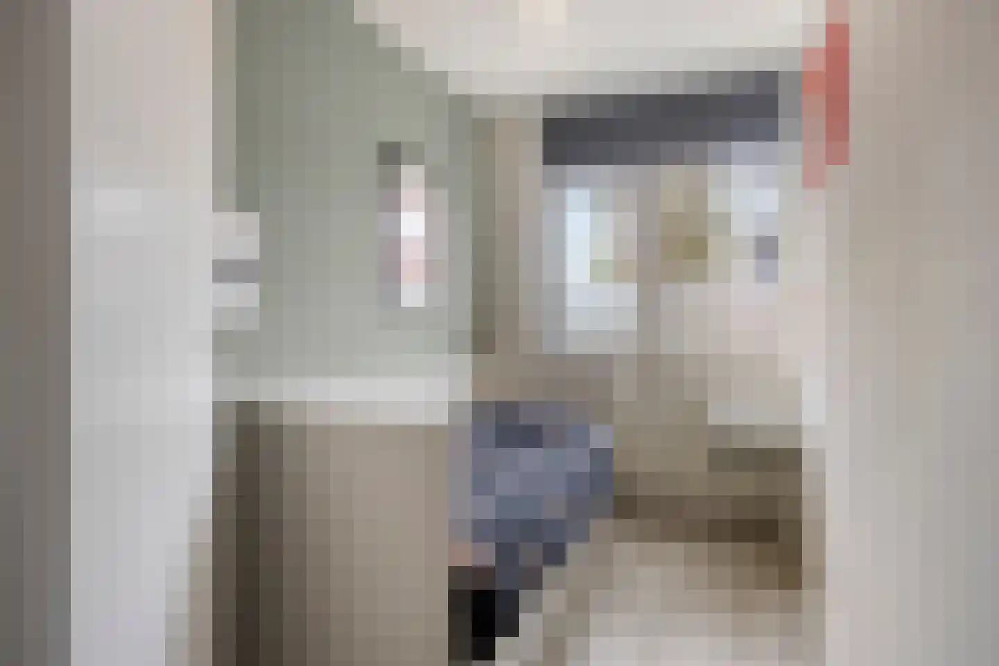 Zaagmolenweg 32 Beek en Donk thumbnail 13