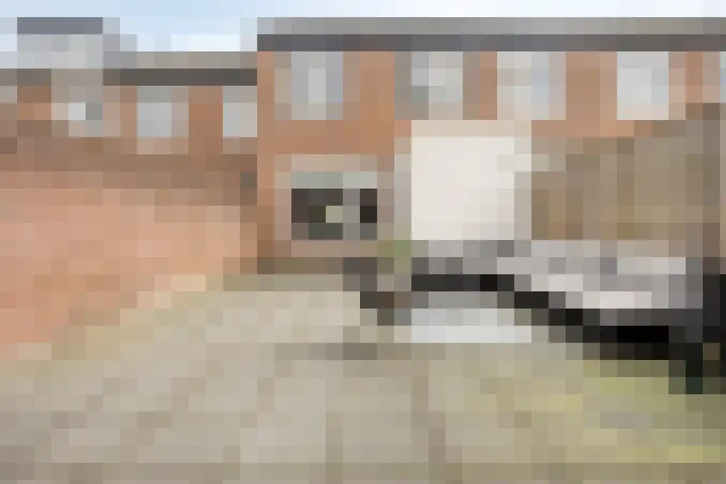Zaagmolenweg 32 Beek en Donk thumbnail 20