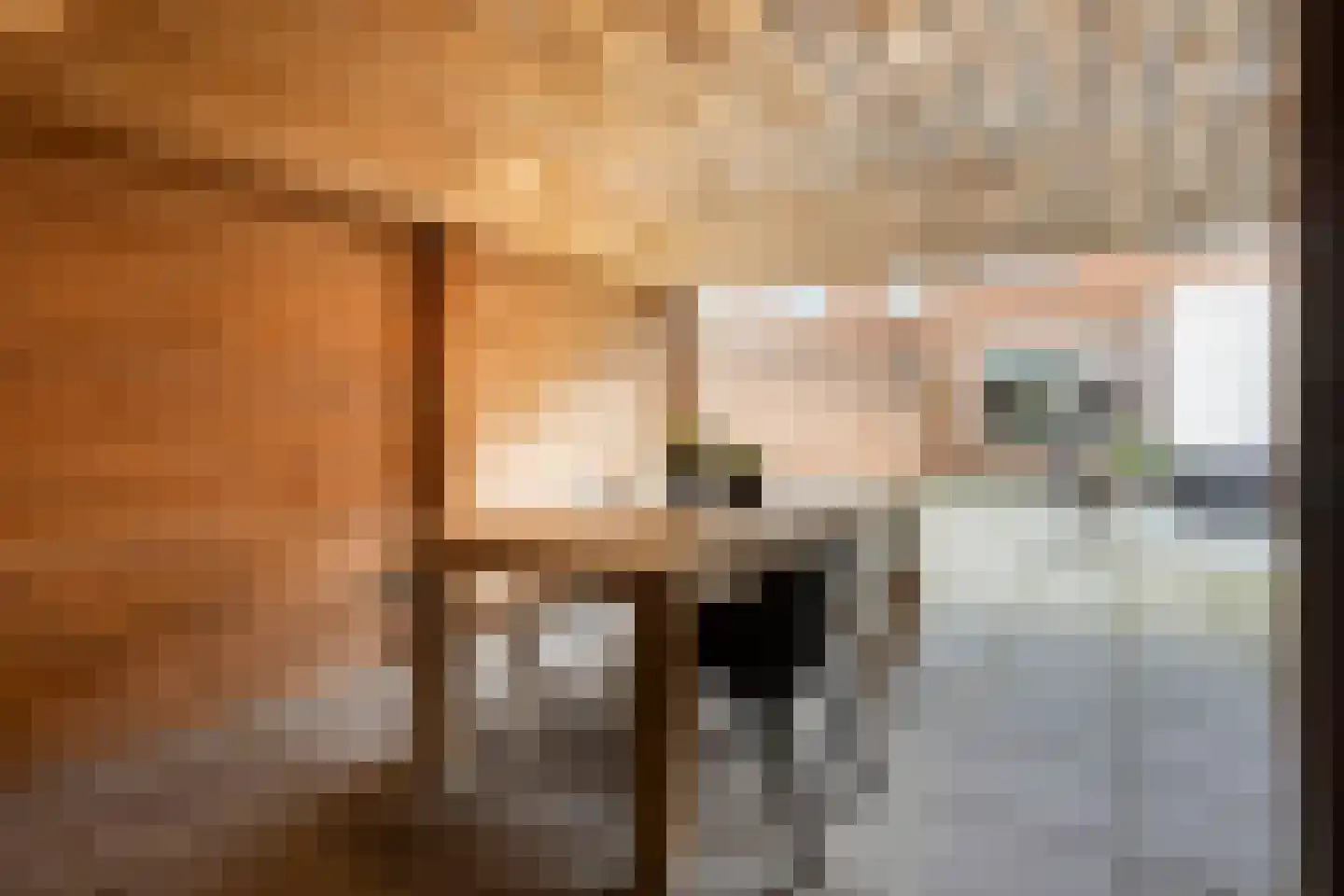 Zaagmolenweg 32 Beek en Donk thumbnail 22