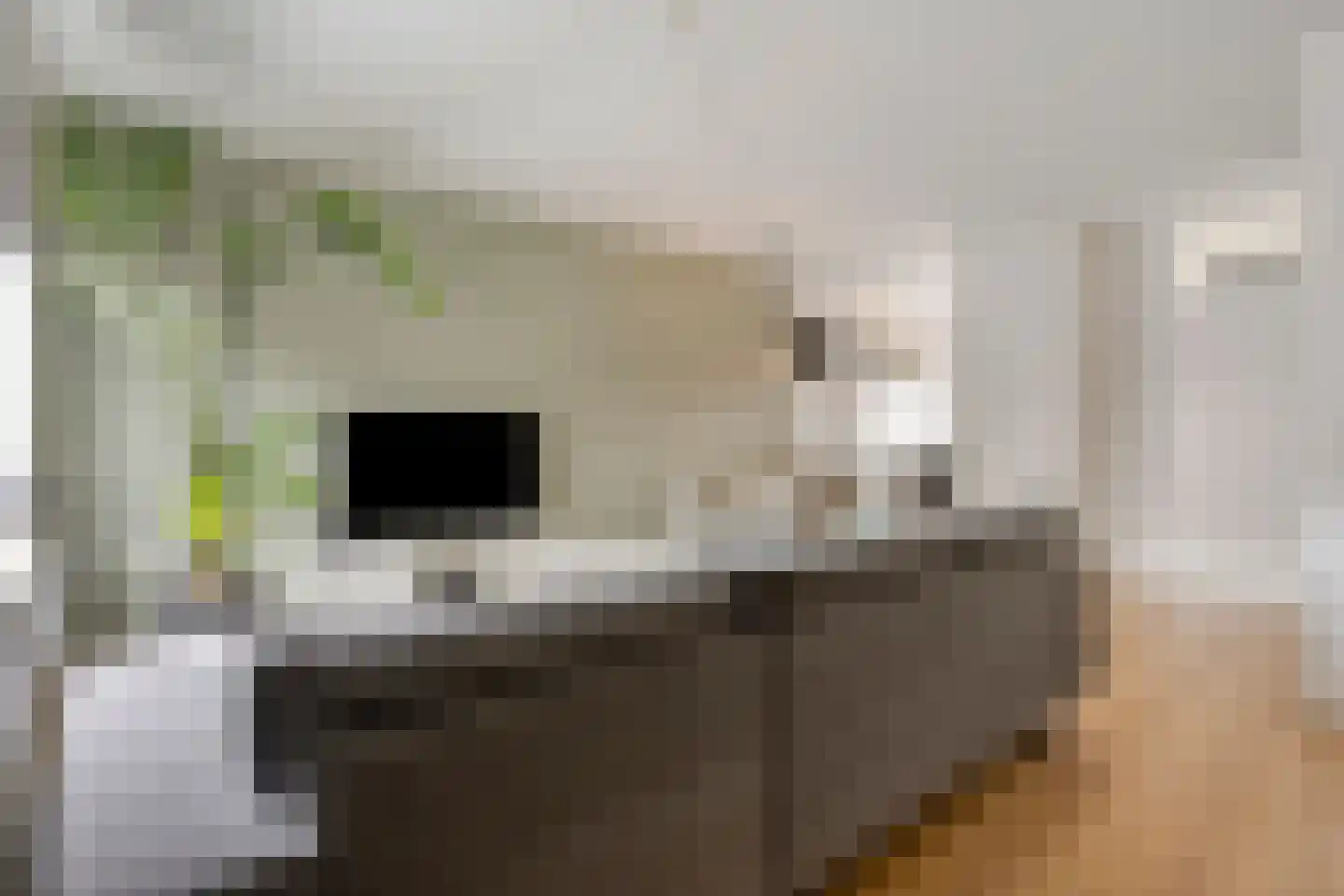 Zaagmolenweg 32 Beek en Donk thumbnail 7